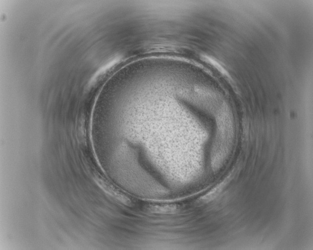 X0000059251403200510281944