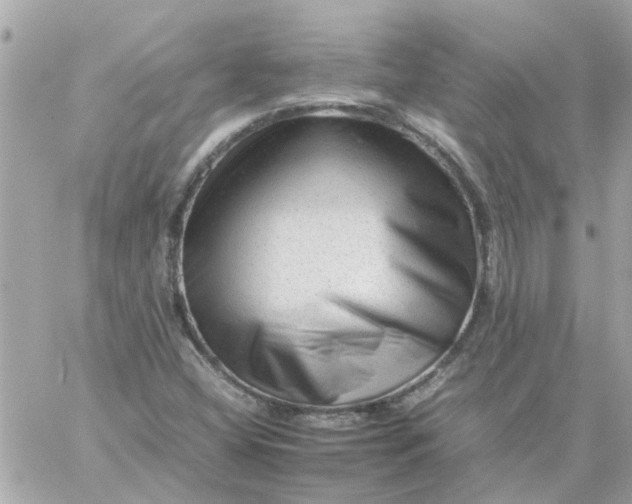 X0000059251404200510281944