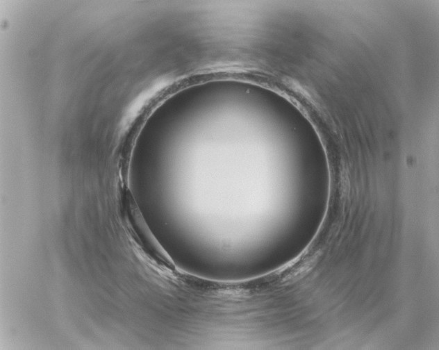 X0000059251406200510281944