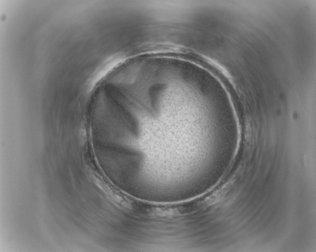 X0000059251407200510281944