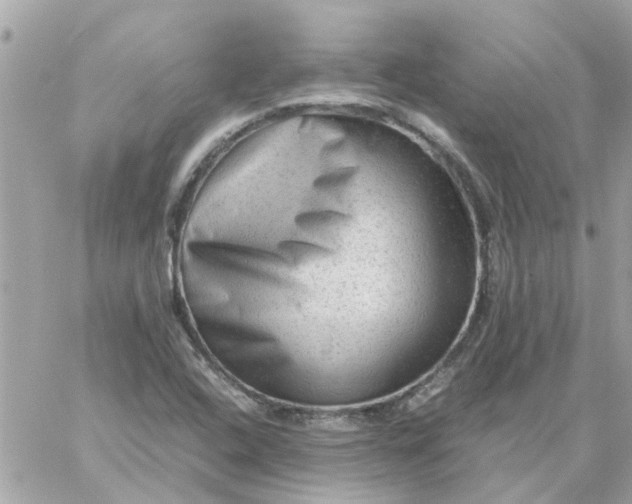 X0000059251408200510281944