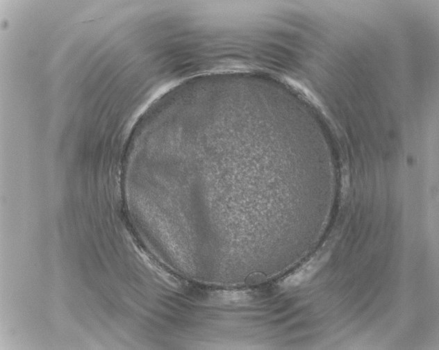 X0000059251409200510281944