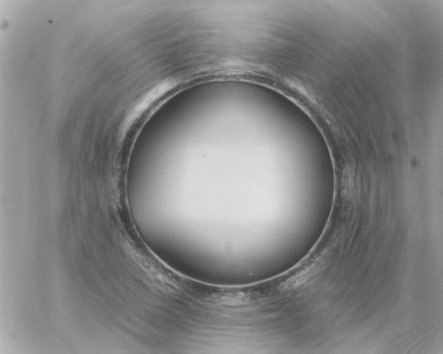 X0000059251410200510281944