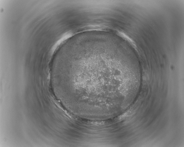 X0000059251411200510281944