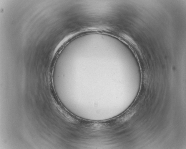 X0000059251412200510281944