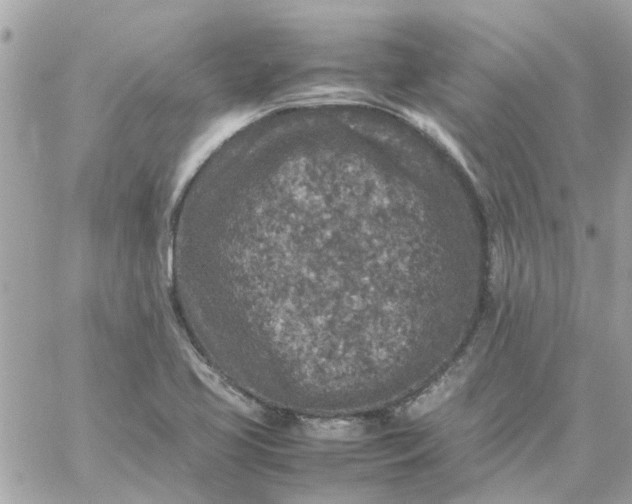 X0000059251413200510281944