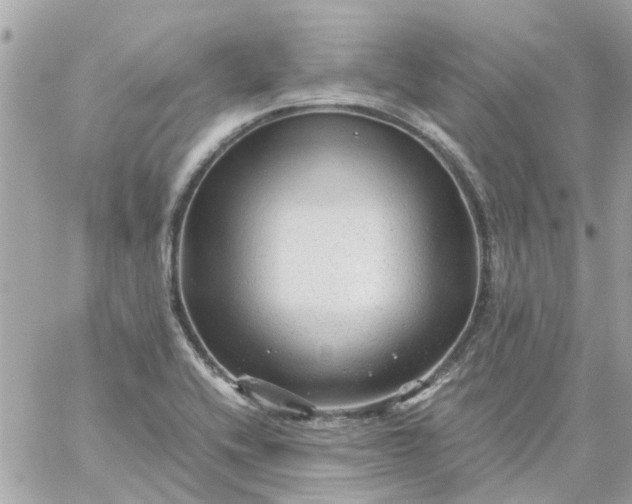 X0000059251416200510281944