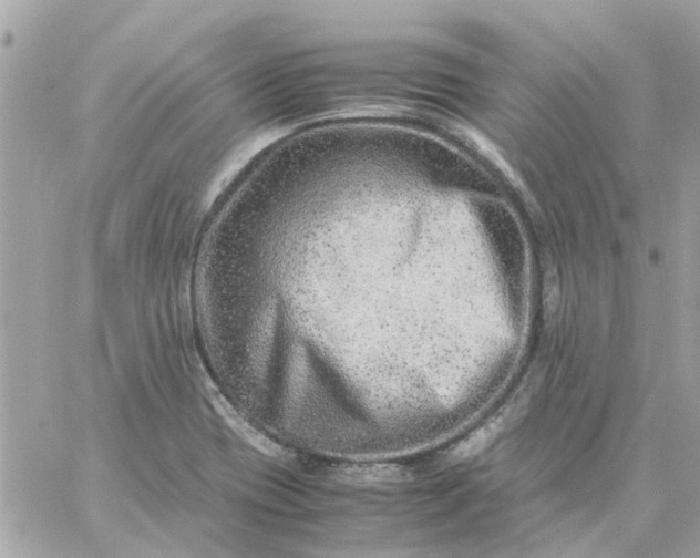 X0000059251417200510281944