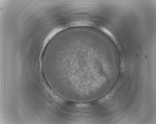 X0000059251419200510281944