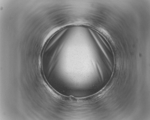 X0000059251420200510281944