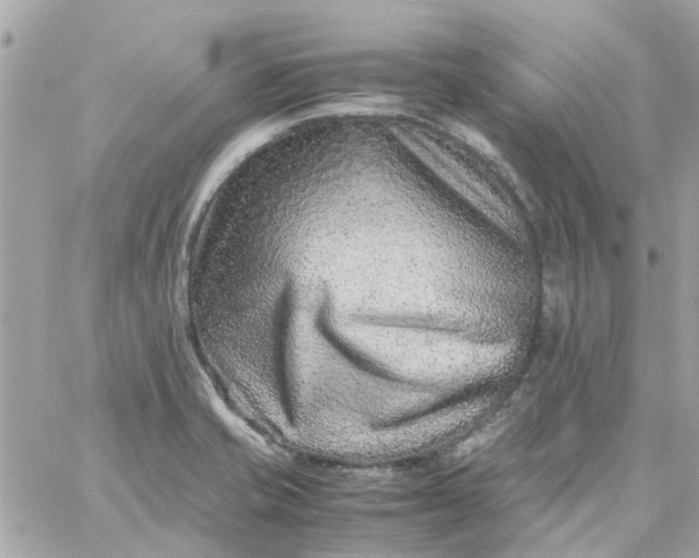 X0000059251421200510281944