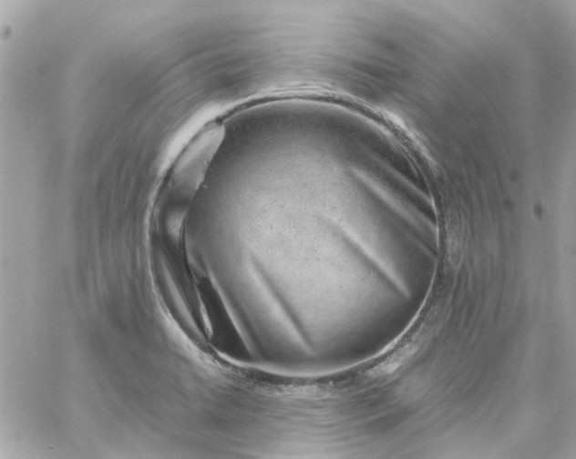 X0000059251422200510281944