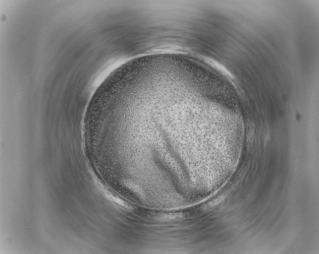 X0000059251423200510281944