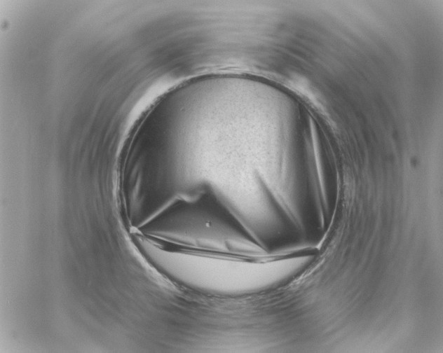 X0000059251424200510281944