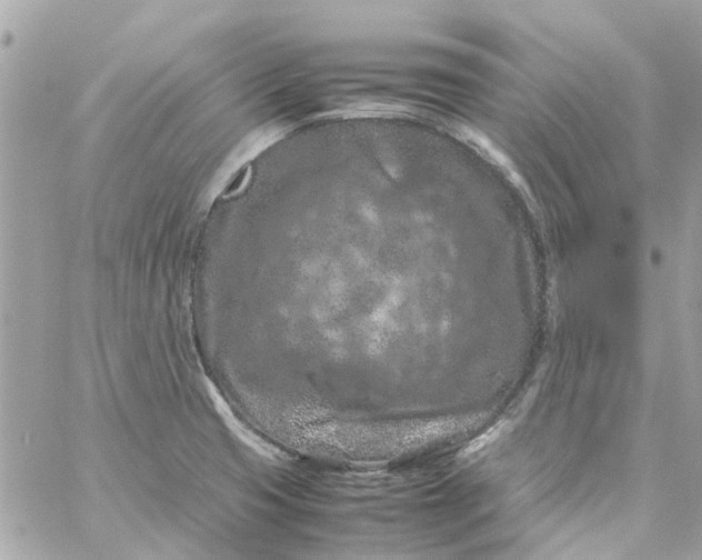 X0000059251425200510281944