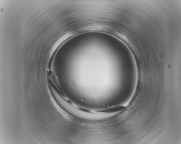 X0000059251426200510281945