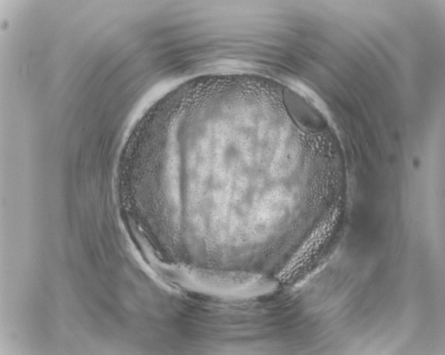 X0000059251429200510281945