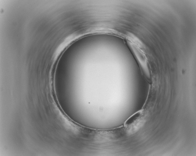 X0000059251430200510281945