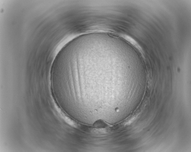 X0000059251431200510281945