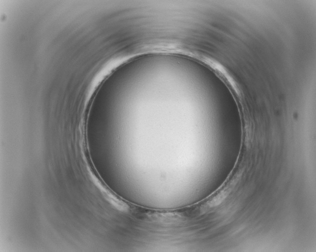 X0000059251432200510281945