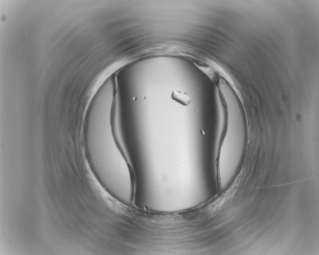 X0000059251434200510281945