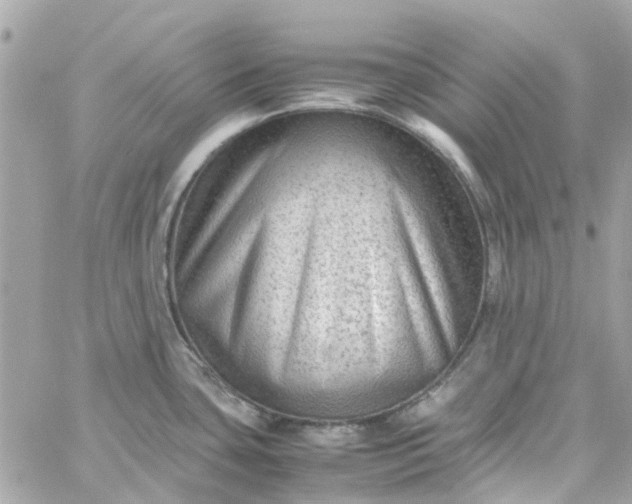 X0000059251435200510281945