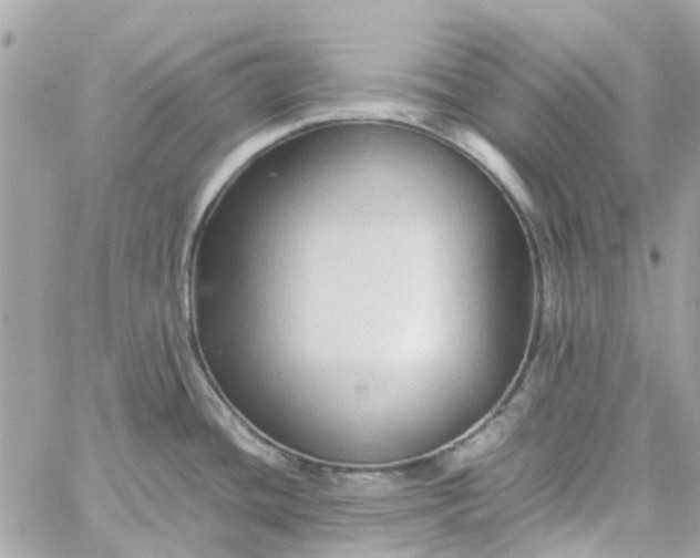 X0000059251436200510281945