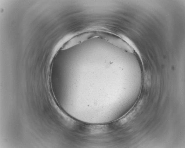 X0000059251437200510281945