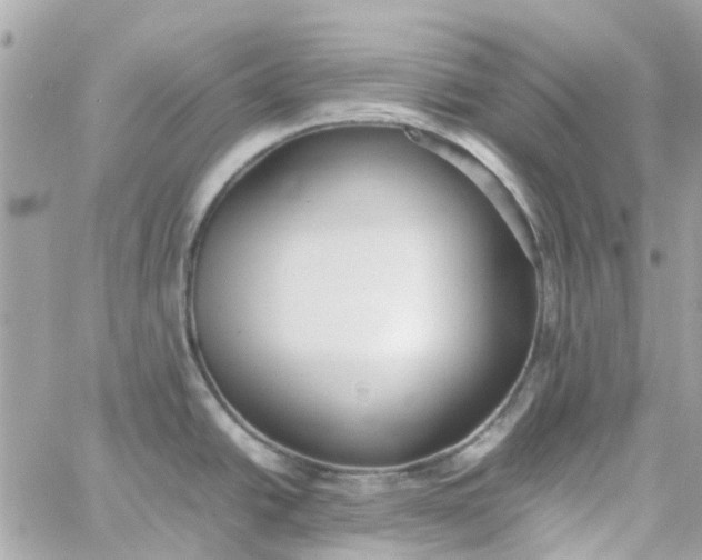 X0000059251438200510281945