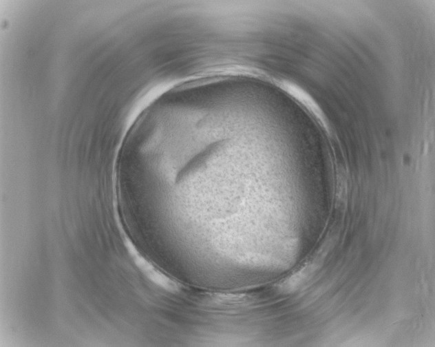 X0000059251439200510281945