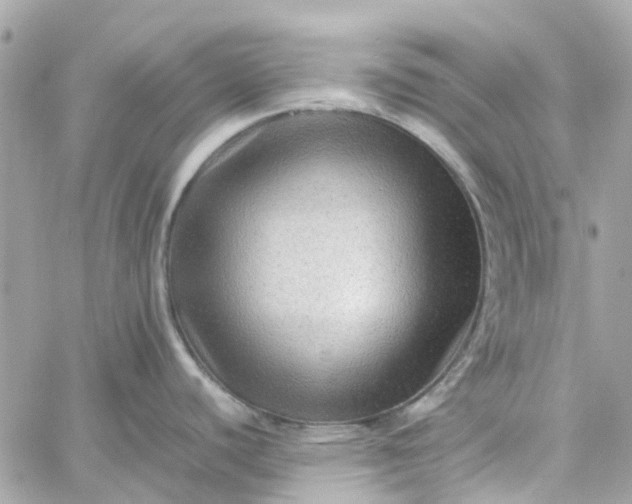 X0000059251440200510281945