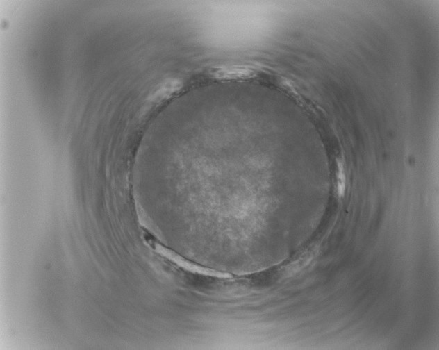 X0000059251441200510281944