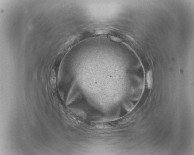 X0000059251443200510281944