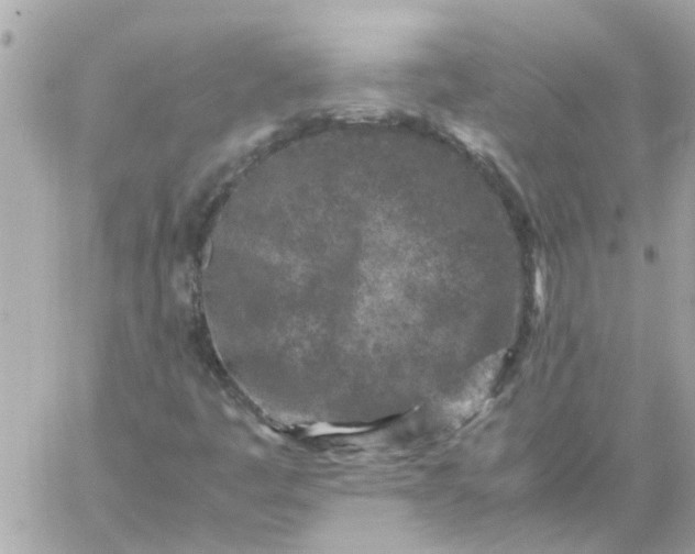 X0000059251445200510281944