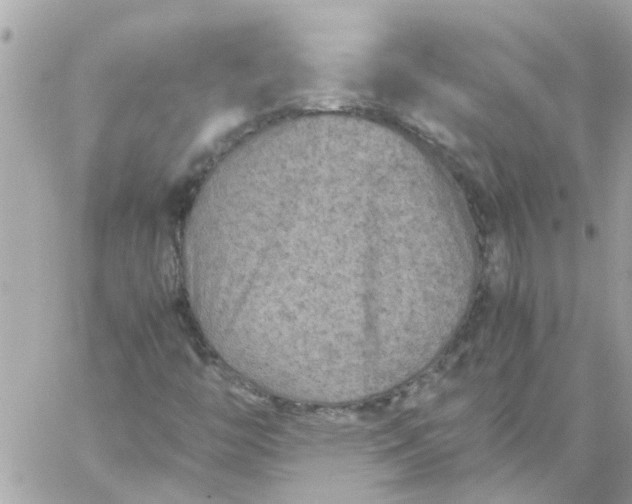 X0000059251446200510281944