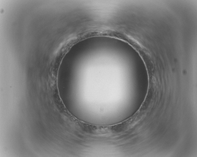 X0000059251447200510281944