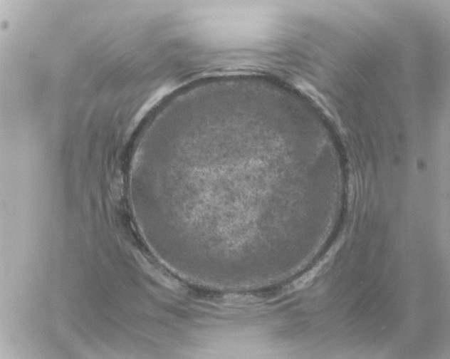 X0000059251449200510281944