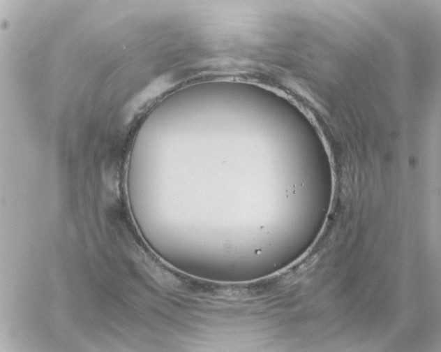 X0000059251451200510281944