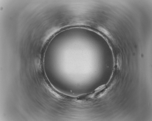 X0000059251452200510281944