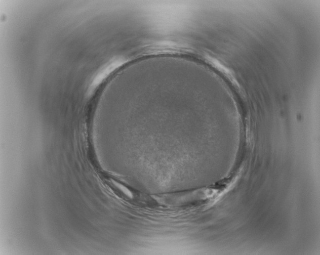 X0000059251453200510281944