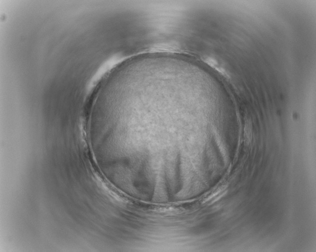 X0000059251454200510281944