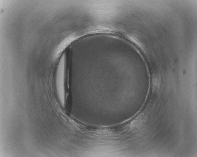 X0000059251455200510281944