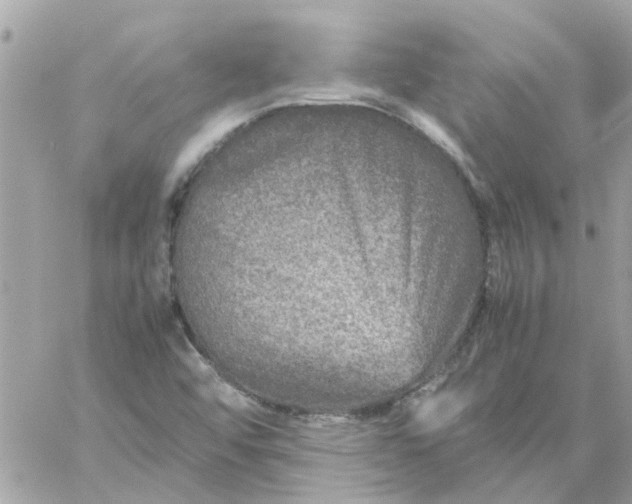 X0000059251456200510281944