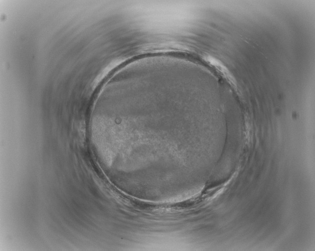 X0000059251457200510281944