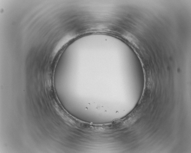 X0000059251458200510281944