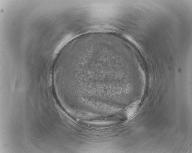 X0000059251459200510281944