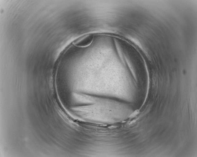 X0000059251460200510281944