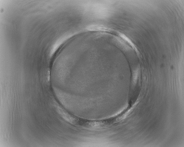 X0000059251461200510281944