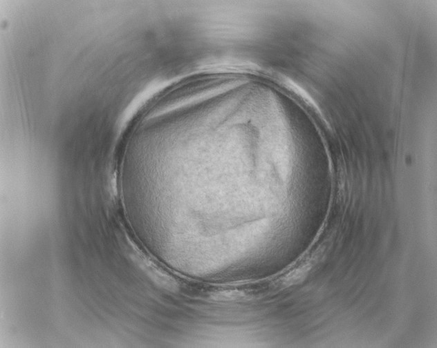 X0000059251462200510281944