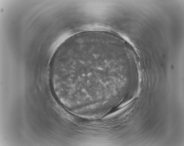 X0000059251463200510281944